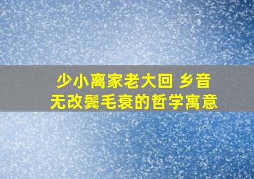 少小离家老大回 乡音无改鬓毛衰的哲学寓意